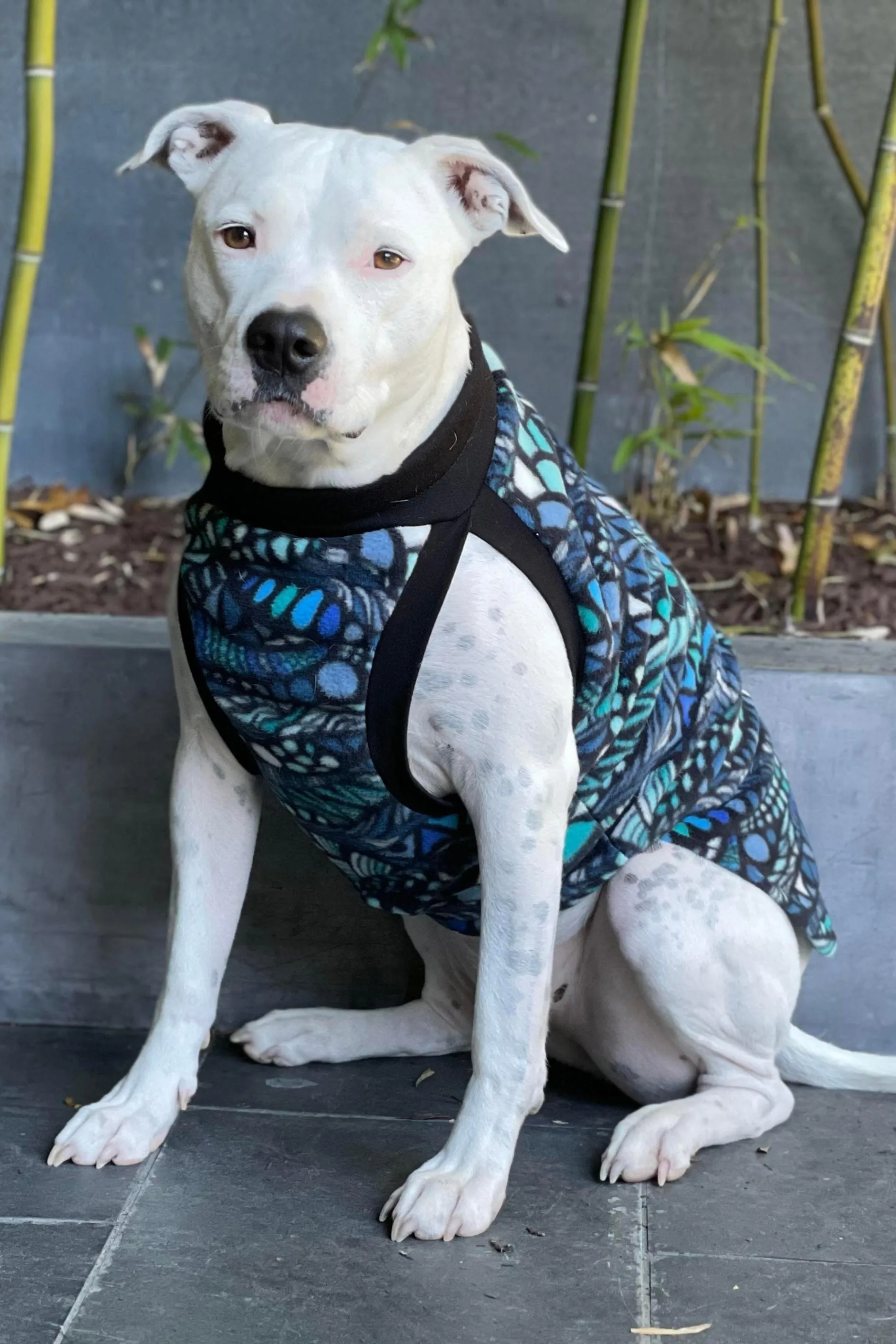 The Blue Zen-tangle Dog Sweater