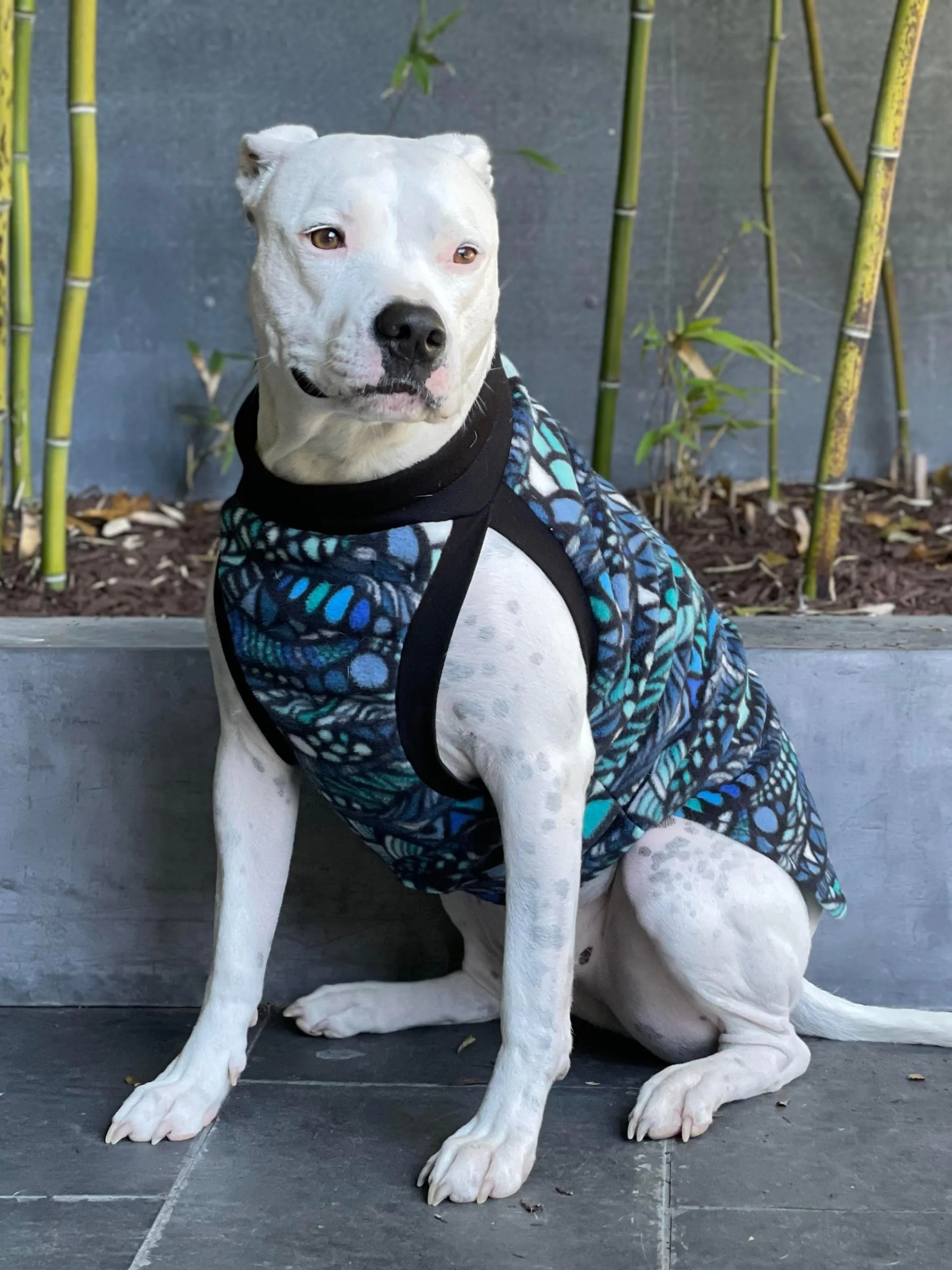 The Blue Zen-tangle Dog Sweater